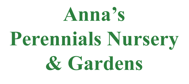 Anna's Perennials Nursery & Garden